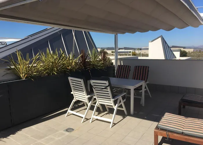 Amalia 24 Torrevieja